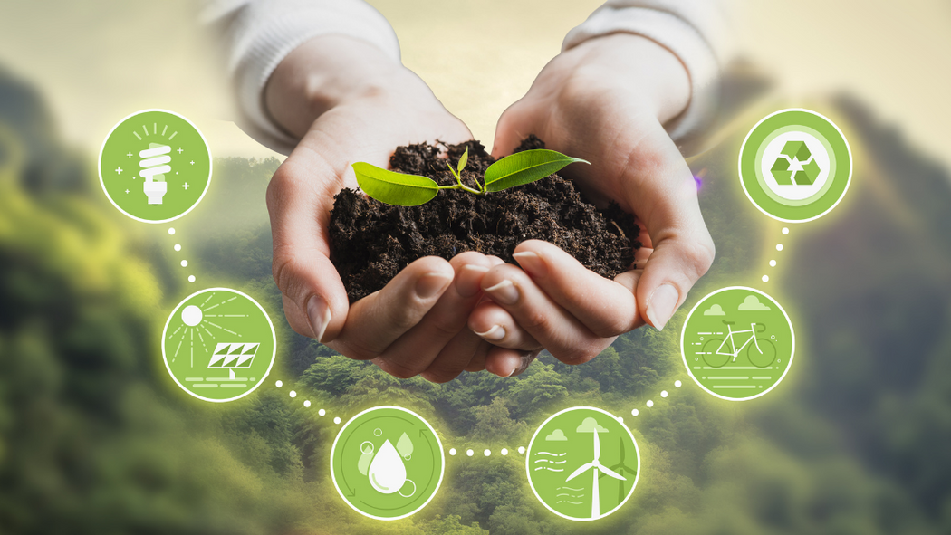 Understanding SQM Club: Promoting Sustainability Through Measurable Impact