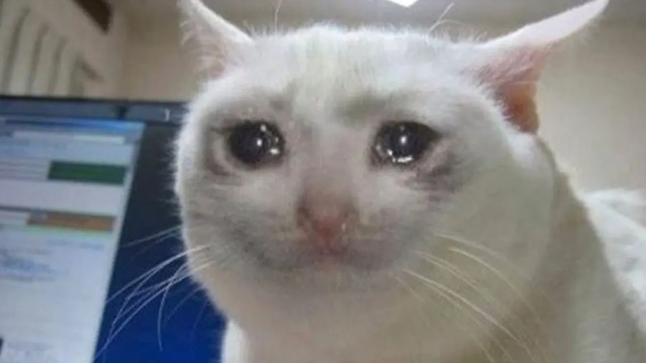 The Crying Cat Meme: The Internet’s Favorite Emotional Feline